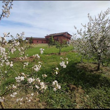 Bed and Breakfast Il Casale Di Giulia Di Aprilia Exteriér fotografie