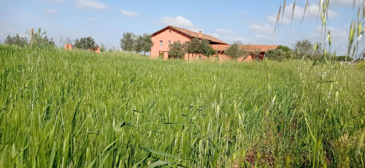 Bed and Breakfast Il Casale Di Giulia Di Aprilia Exteriér fotografie