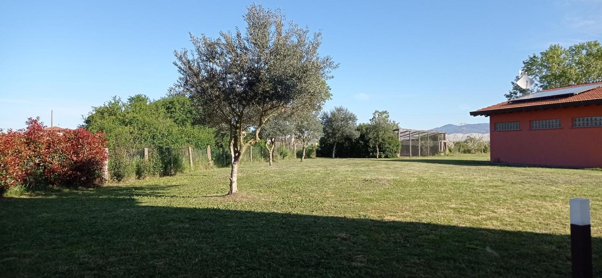 Bed and Breakfast Il Casale Di Giulia Di Aprilia Pokoj fotografie